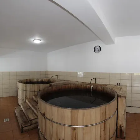 Gasthuis Pensiunea Lacramioara Săcel